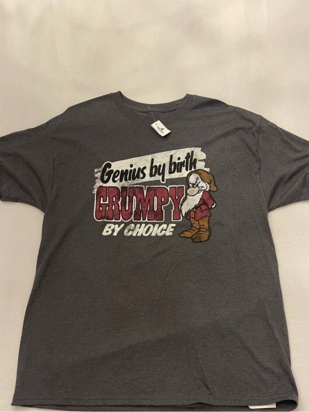 Disney Gray "Genius by birth Grumpy by choice " Short Sleeve Tee
